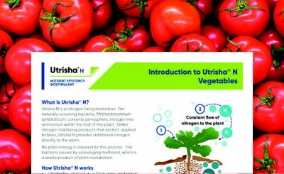 Utrisha N Vegetables Intro