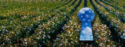 Utrisha N Biostimulant