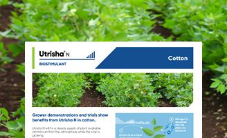 Utrisha N Cotton Technote