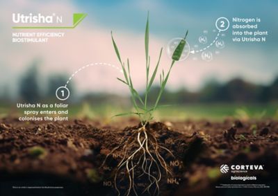 Utrisha N Infographic