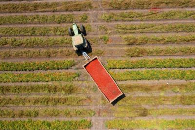 Utrisha N Vorteil 4 für integrierte Anbaustrategien