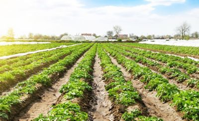 Utrisha N Vorteil 6 passend für jede Stickstoffdüngestrategie