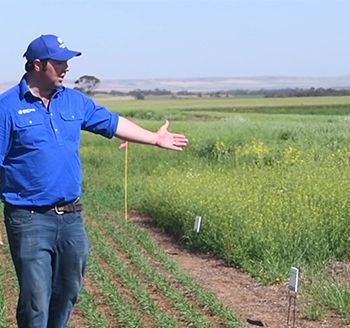 Halbury Spring 2019 Demonstration Trials