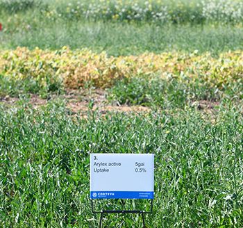 Halbury Spring 2019 Demonstration Trials