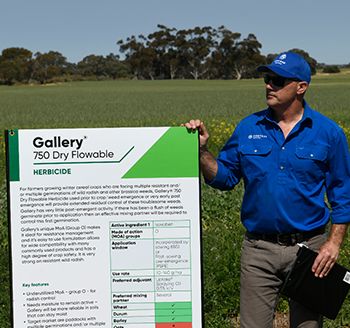 Halbury Spring 2019 Demonstration Trials