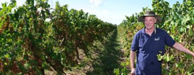 Verpixo Adavelt active fungicide