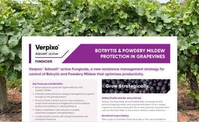 Verpixo botrytis pmd vineyards DET 02 Product Technote 328w x 200h.jpg
