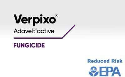 Verpixo Adavelt active