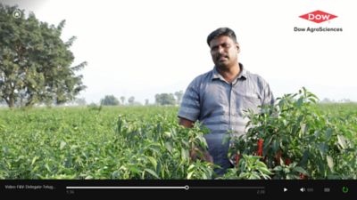 Delegate telugu testimonial