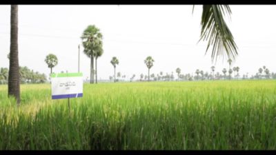 Pexalon Video Telugu