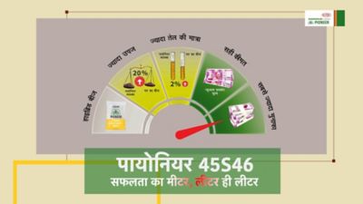 Mustard Testimonial 45s46 video