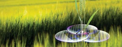 Eledura™ – naujas rudeninis herbicidas