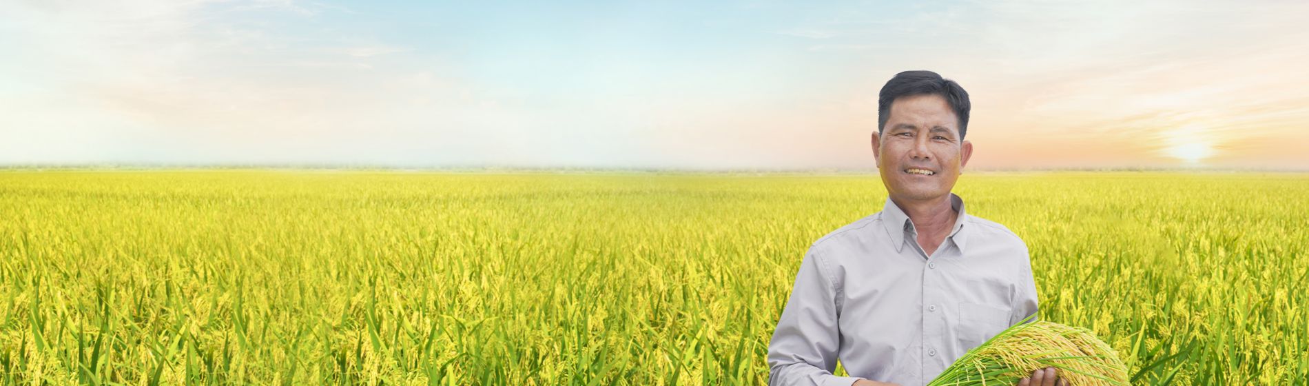 Kiến thức và kinh nghiệm nhà nông - Corteva Việt Nam