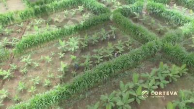 Kyventiq Parcelas demostrativas