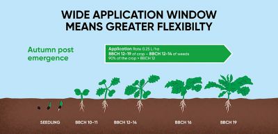 WideApplicationGraphic-2