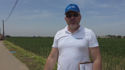 Lumiposa: Protect your crops from Wireworm damage
