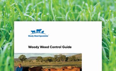 Woody Weed Control Guide