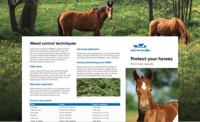 Woody Weeds Technote Horses