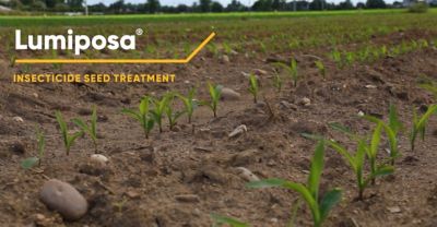 Lumiposa: Protect your crops from Wireworm damage