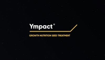 Ympact Video