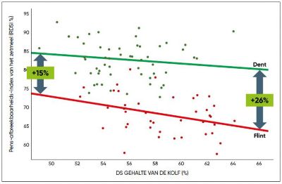 Zetmeelbeschikbaarheid in functie van de afrijping van de kolf