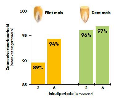 Zetmeelbeschikbaarheid in relatie tot de inkuilduur