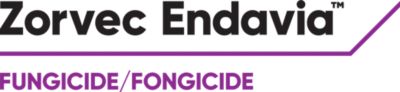 Zorvec Endavia®
