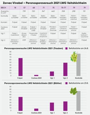 Zorvec Vinabel Versuche 2024