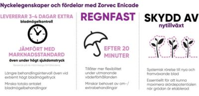 Zorvec Enicade  illustratör