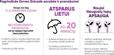 Zorvec Enicade iliustracija