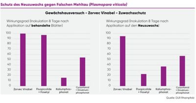 Zorvec_Vinabel_Versuch_1_final.