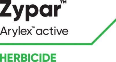 Zypar logo