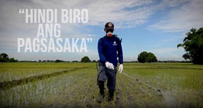 farmer spraying the rice field with herbicide