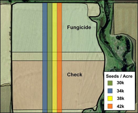 Agronomic trial with 2 variables