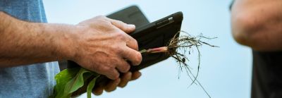 Programa de semeadura guiada