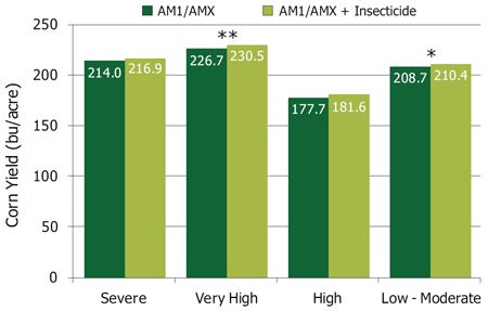 Average yield of AM1/AMX products without and with a soil-applied insecticide in trials with low-moderate, high, very high and severe corn rootworm pressure.