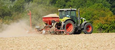 Date et pratique de semis