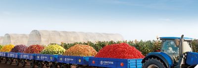 Trator puxando diversos vagões com frutas e hortaliças