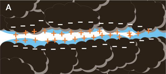 Cation exchange sites influence locations of cations and anions in the soil water phase. When soils are relatively dry, cations associate very closely with net negative charges of colloidal surfaces.