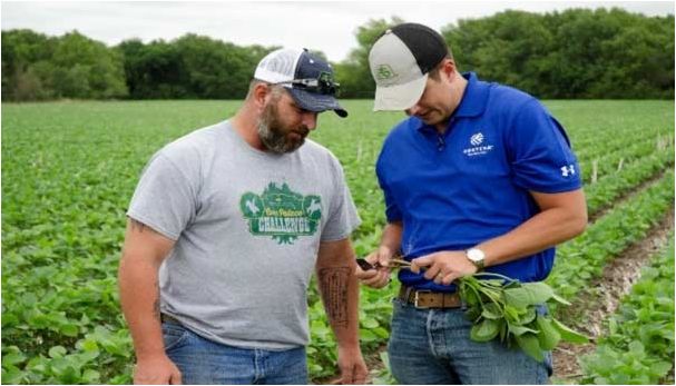 Pioneer Territory Manager Clint Pickard sharing crop management information with a S.A.V.E. participant.