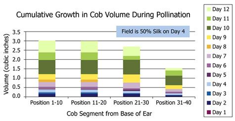 Cumulative growth in cob volume during pollination.