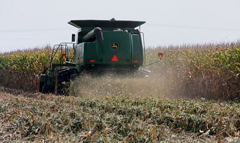 Photo: Corn harvest losses.