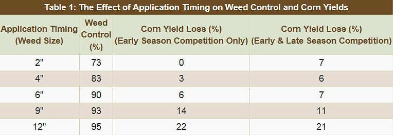 The Effect of Application Timing on Weed Control and Corn Yields