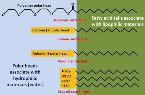 Relevant chemical structures of surfactants and crop oil concentrates.