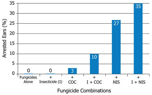 Corn ear response to foliar treatments applied alone or with crop oil concentrate or nonionic surfactant.