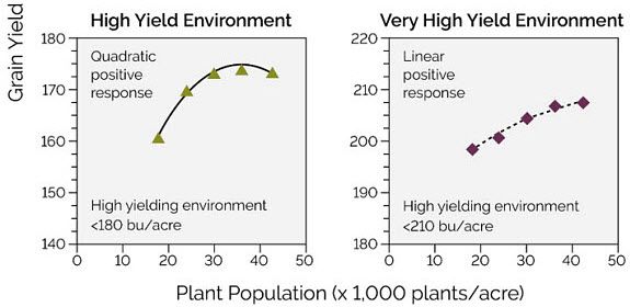 Chart showing corn hybrid response to plant population under high and very high yield environments.