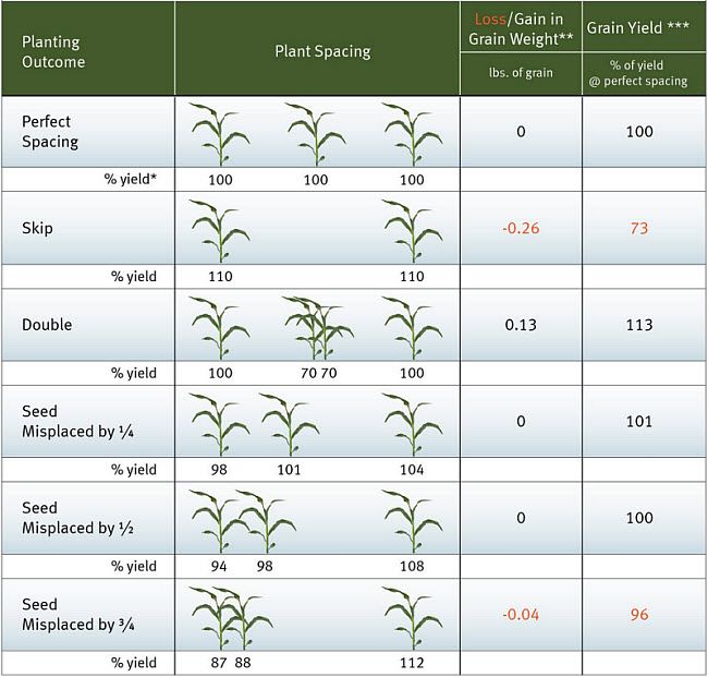 Corn grain yields resulting from various planting outcomes.