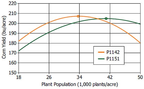 Corn yield response to plant population of 2 hybrid families with similar comparative relative maturity.