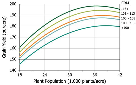 Yield response to plant population for corn hybrids from 5 maturity ranges.