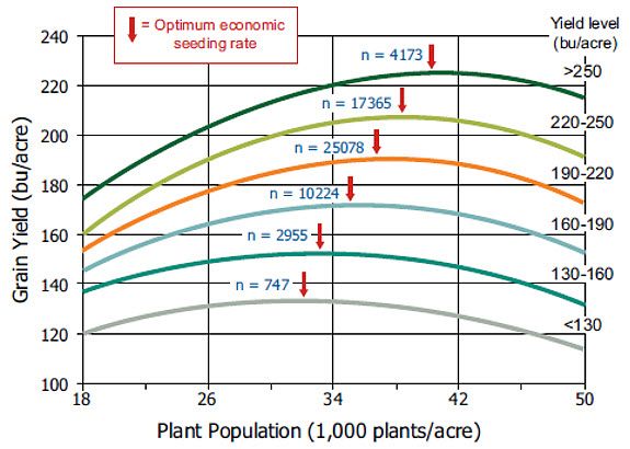 Corn yield response to population and optimum economic seeding rate.